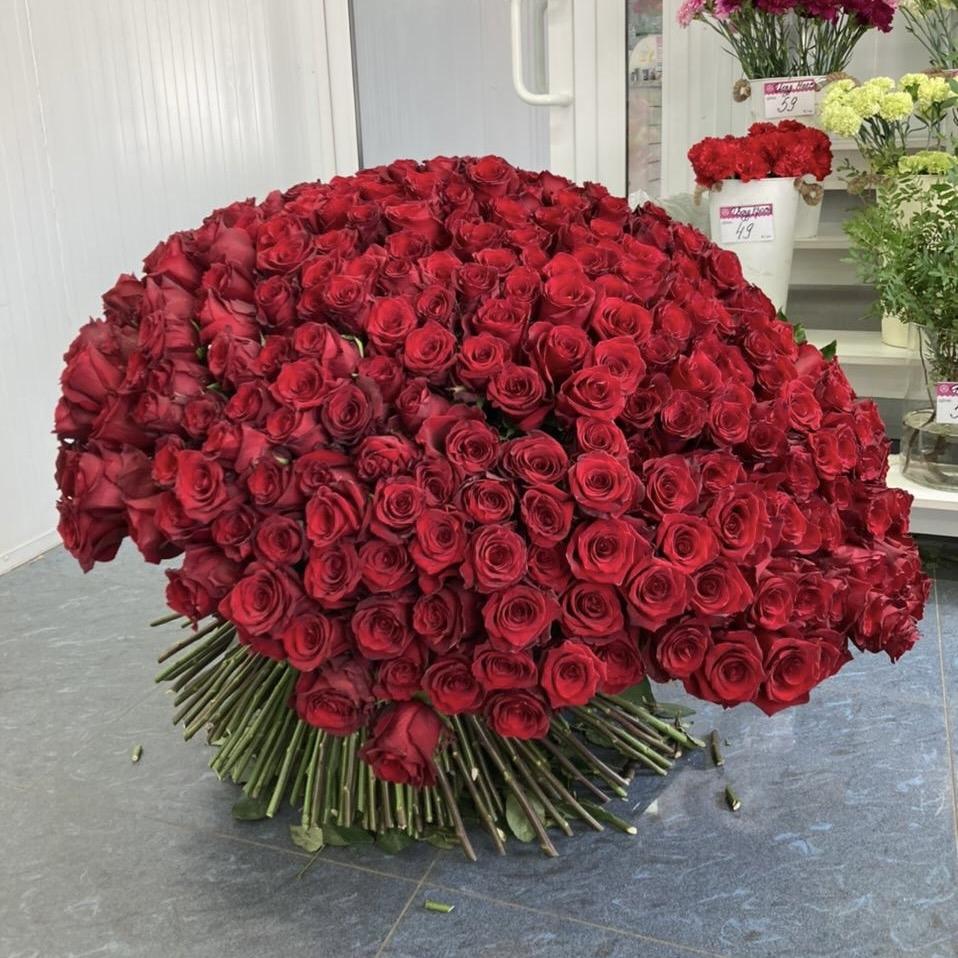 Букеты из красных роз 80 см (Эквадор) №: 32724izh