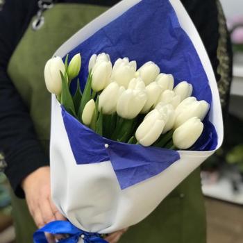 Белые тюльпаны 23 шт. код - 54351iz