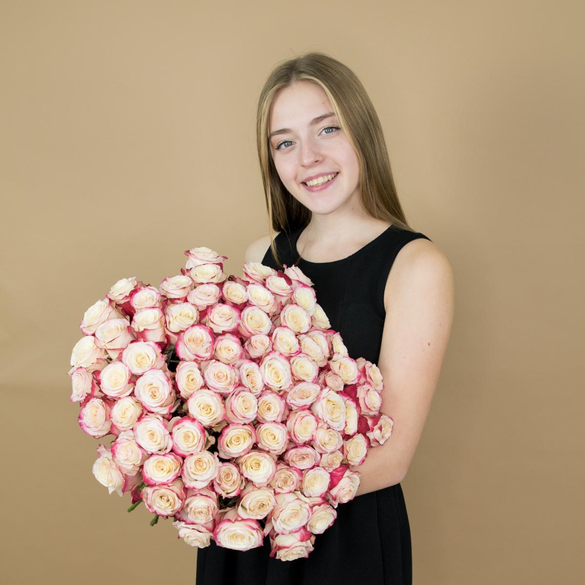 Розы красно-белые (40 см) Эквадор [артикул: 81izh]