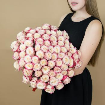 Розы красно-белые 75 шт 40 см (Эквадор) Артикул  14391iz