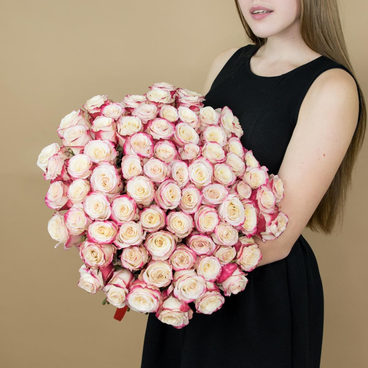 Розы красно-белые 101 шт. (40 см) [№  14418]