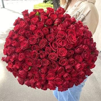 Розы (40 см) 101 штука