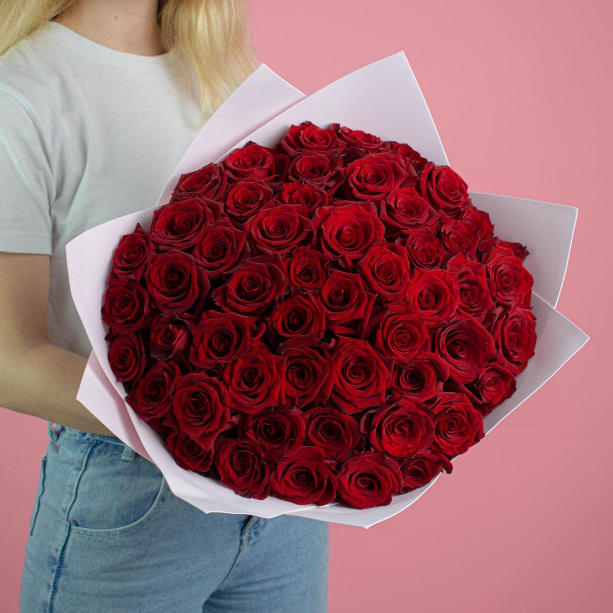Розы Эквадор 40 см (Красный)