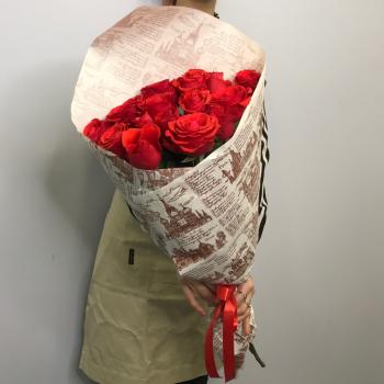 Красные розы 15 шт 60см (Эквадор) №  19818izh